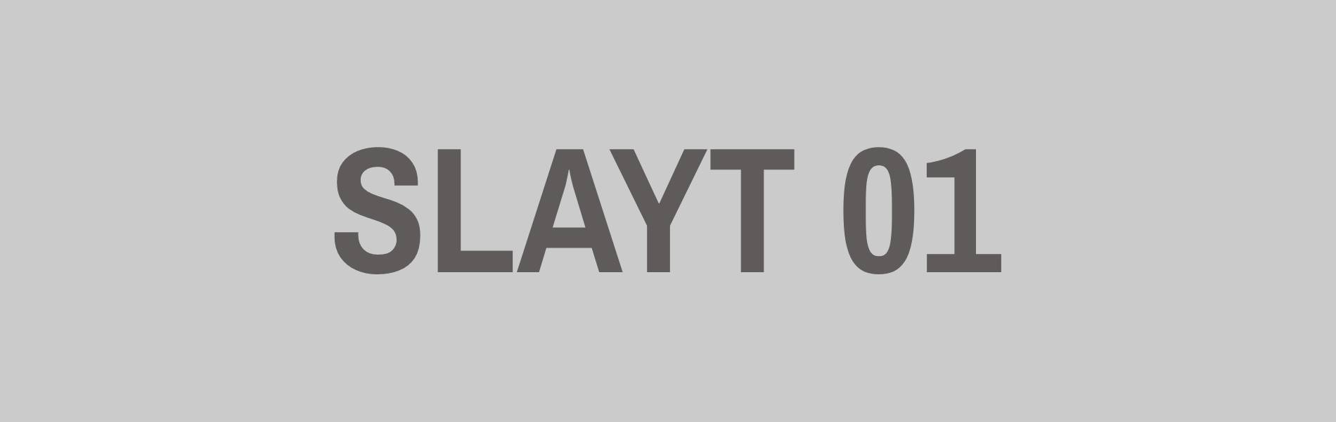 slayt-01
